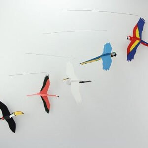 Mobile- Tropical Birds