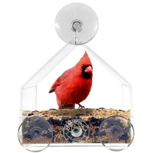 Window Birdhouse Feeder