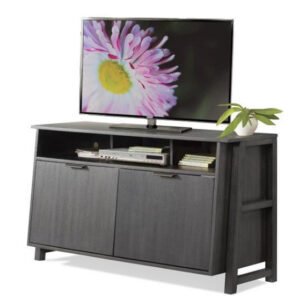 Perspectives Entertainment Console